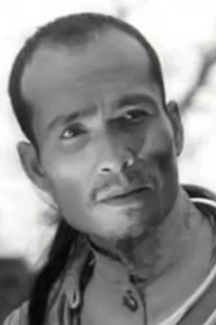 Hoa Văn